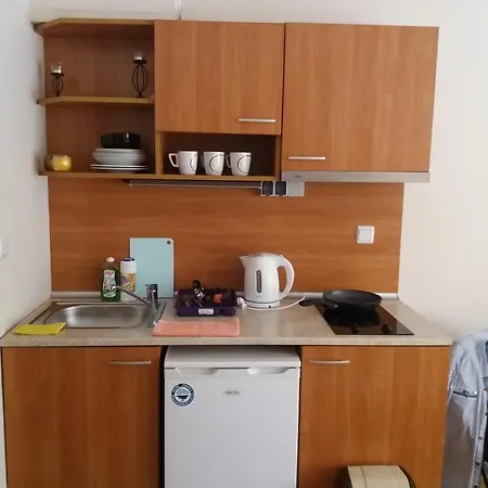 Apartmán Private In Amadeus 19 *
